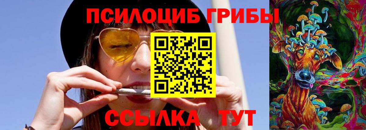 Псилоцибиновые грибы GOLDEN TEACHER Кострома